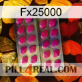 Fx25000 10